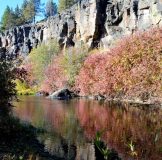 glimpse-of-brilliance